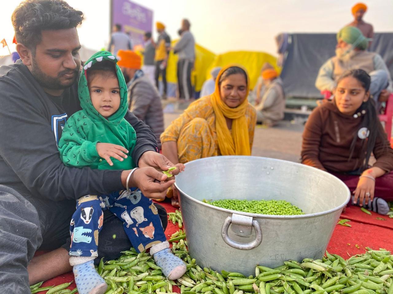 Harfateh Singh peels peas at farmers’ protests Harfateh Singh peels peas at farmers’ protests