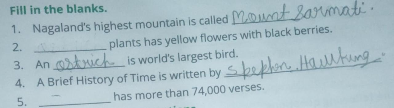 Fill in Your Shoes - Etsy