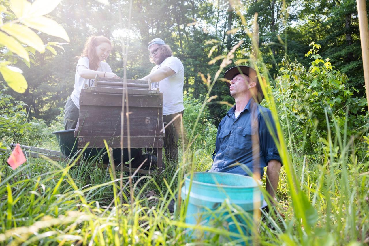 Undergraduate research