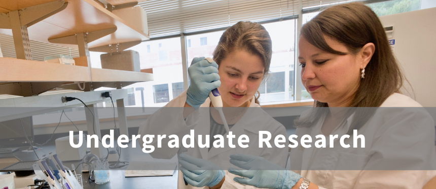 Undergraduate Research